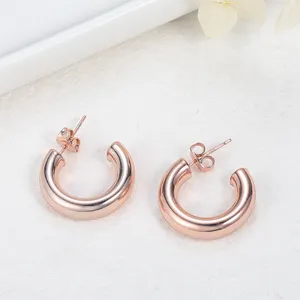 Trendy Stainless Steel Fashion Jewelry Earrings Anniversary Gift For Women Wholesale Options Available