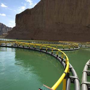 High Toughness HDPE Circular <b>Floating</b> Cage Anti-fouling Structure For Long Service Marine Farming - Product Image 5