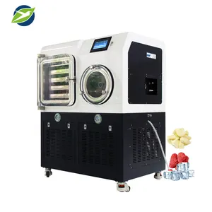 Yetuo LGJ-50FT Capping Silicone Oil Heating Pilot Laboratory Lyophilizer Freeze Dryer dehydration drying machine