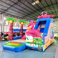 Structure gonflable Flamingo avec toboggan et mur d'escalade pour location commerciale et événements