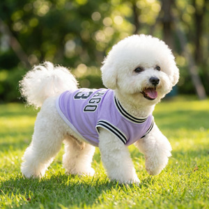 Camisetas de malla fina de verano para perros, camisetas de fútbol <span class=keywords><strong>americano</strong></span>, camisetas de baloncesto en blanco para perros - Product Image 1