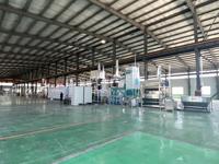 Nouvelle machine chinoise de fabrication d'aliments pour animaux de compagnie, extrudeuse bivis en acier inoxydable de 2 tonnes par heure, alimentation automatique pour chiens, chats et poissons