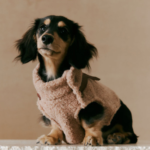 سترة فاخرة من الفرو للكلاب بالجملة، ملابس شتوية للحيوانات الأليفة، جاكيت مخصص للكلاب مع غطاء للرأس - Product Image 2