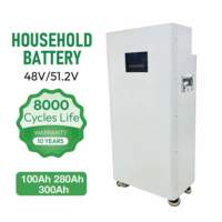 Kabinet Baterai Penyimpanan Energi 51.2V 314Ah 16Kwh Andal untuk Sistem Tenaga Surya Hibrida Rumah Tangga