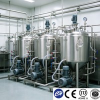 Cuve de Fermentation Laitière Sanitaire en Acier Inoxydable 304, Fermenteur pour la Production de Yaourt avec Système CIP 200L-5000L