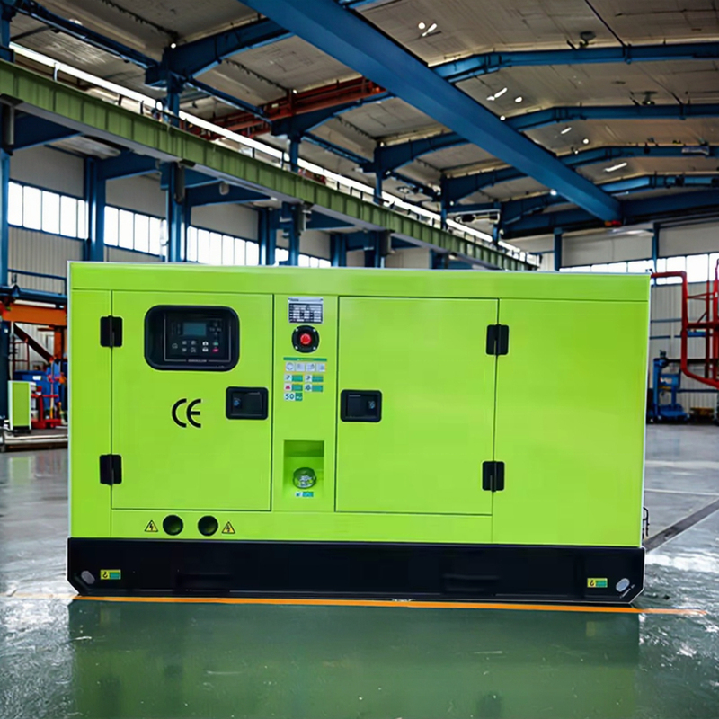 Zambia Sell LINGGE 100kw Syngas Biogas