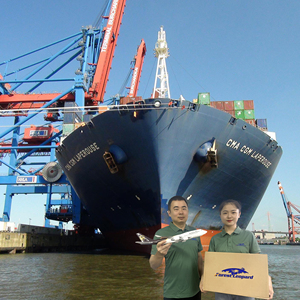 Servicio de Logística de Entrega a Domicilio DDP con Envío LCL+Express desde China a Destinos Globales - ForestLeopard Freight Forwarder - Product Image 5
