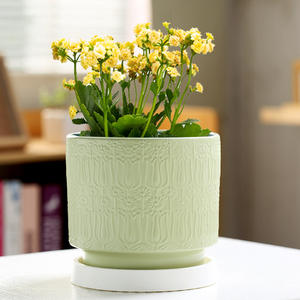 Macetas de Cerámica Estilo Nórdico Minimalista Ecológicas Duraderas Ligeras con Orificio de Drenaje para Suculentas y Bonsáis - Product Image 6