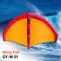 Ensemble de planche de wingsurf Waterplay 5m, planche gonflable pour sports nautiques, wing foil, kitesurf, windsurf, hydrofoil, wingfoil