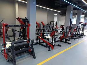 Equipo de gimnasio, máquina de remo de doble pista, placa de fuerza, Fitness cargado - Product Image 5