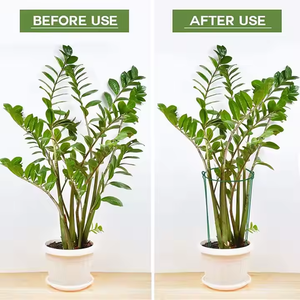 4 /8 PCS <span class=keywords><strong>Support</strong></span> pour <span class=keywords><strong>plantes</strong></span> Pile Demi-rond Anneau Piquet Extérieur Jardin Fleur Vigne Métal Escalade <span class=keywords><strong>Support</strong></span> Légumes Tige Fixe Rack - Product Image 3