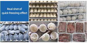 รถเข็นแช่แข็งคุณภาพสูง -80 องศาเซลเซียส ระบบทำความเย็นด้วยอากาศ สำหรับเครื่องผลิตผลิตภัณฑ์จากธัญพืช - Product Image 5