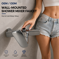 Robinet de douche mural monocommande en alliage de zinc chromé avec cartouche céramique, 2 trous, eau chaude et froide, G1/2, pour projets OEM/ODM