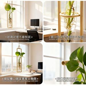 Vase en verre hydroponique mural géométrique transparent pour la propagation des plantes, bouteille de culture aquatique - Product Image 4