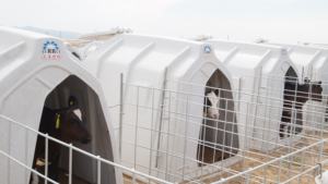 Maison de veau blanc Conception ronde personnalisable Clapier à veau en plastique de qualité alimentaire - Product Image 4