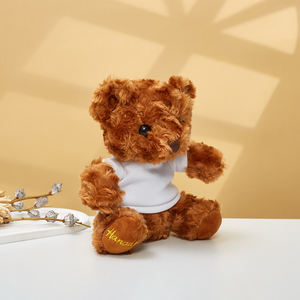 18CM LOGO personalizzato orsacchiotto di alta qualità CE CPC promozionale fatto di cartone animato animale regalo personalizzato t-shirt logoprigoglioso giocattolo - Product Image 4