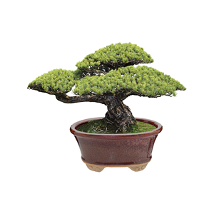 Vườn Trong Nhà Ngoài Trời Tráng Men Gốm Bonsai Succulents Pot Trang Trí Planter Cho Cây Lùn Cây Nhỏ Màu Xanh Lá Cây Hình Bầu Dục Container - Product Image 5