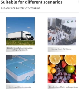 डिस्पोजेबल यूएसबी तापमान डेटा लॉगर तापमान मॉनिटर कोल्ड चेन के लिए - Product Image 6