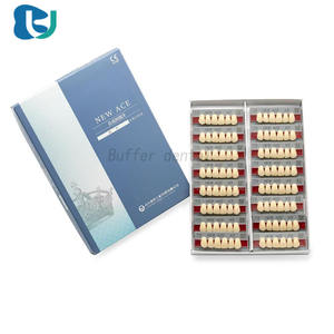 96 unités de prothèses dentaires synthétiques Yamahachi, forme anatomique agréable pour laboratoire dentaire, prothèse dentaire <span class=keywords><strong>amovible</strong></span> en résine - Product Image 4