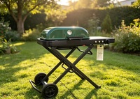 Chariot de barbecue au propane pliable avec 2 roues, station de cuisson extérieure légère en aluminium