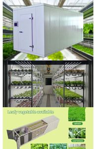 Smart Freight Farm de la Chine Grand conteneur d'expédition de 40 pieds avec jardin vertical hydroponique vert à feuilles Microgreen - Product Image 5
