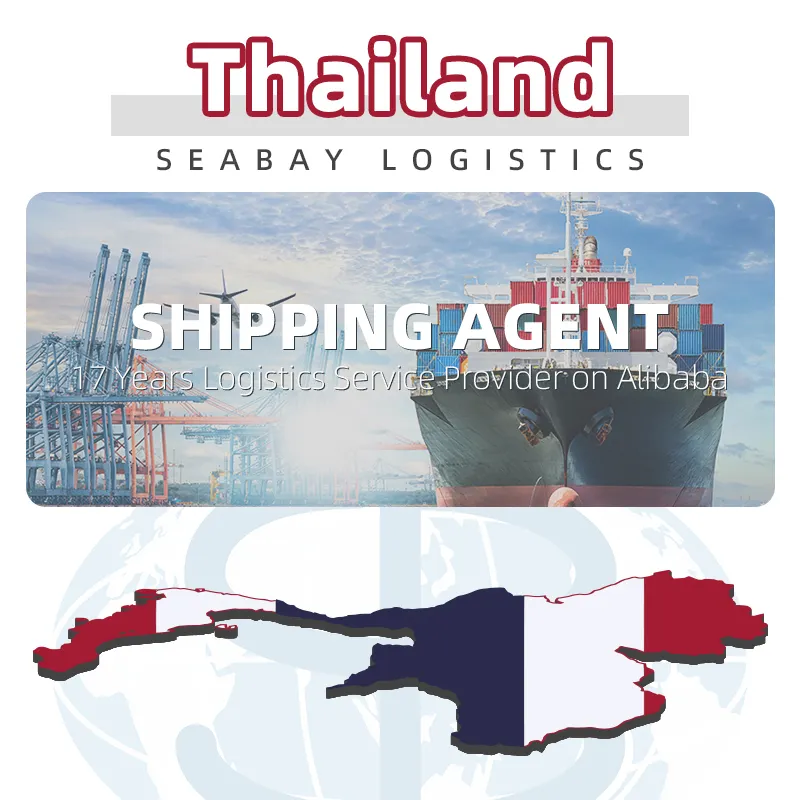수입 상품 항공화물 포워퍼 Dhl 배송 비용 중국에서 태국으로 직송 배송 에이전트