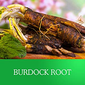 Lifeworth Private Label Dietary Supplement Organic Sugar Free Gel Gummy Candy Vegan Seamoss Gummies Vitamin c