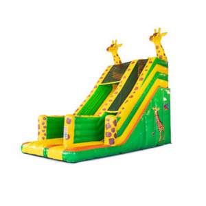 Tobogán Inflable Doble para Uso en Seco/Húmedo para Negocios de Alquiler de Fiestas/Tobogán Inflable con Temática de Carnaval - Product Image 3