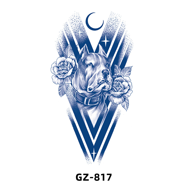 GZ817