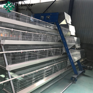 Jaulas de pollo para <span class=keywords><strong>grandes</strong></span> aves de corral equipo - Product Image 1