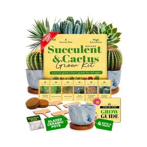 Fácil de cultivar 6 <span class=keywords><strong>variedades</strong></span> de <span class=keywords><strong>suculentas</strong></span> <span class=keywords><strong>y</strong></span> cactus Kit incluye tierra para macetas <span class=keywords><strong>y</strong></span> macetas de cerámica <span class=keywords><strong>y</strong></span> más - Product Image 1