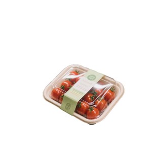 Barquette alimentaire jetable rectangulaire sans BPA, qualité alimentaire, durable, à compartiment unique - Product Image 4