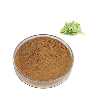 Wholesale Artemisia Absinthium Extract Wormwood Leaf Extract Powder