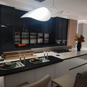 <b>Plastic</b> Cabinet Lacquer Painting Kitchen Cabinets <b>Cupboard</b> Made in China - Product Image 5