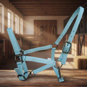 Meilleures ventes : Licol en sangle réglable pour cheval, équipement d'équitation, ceintures tissées pour la course en plein air, bride - Product Image 2
