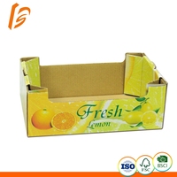 Boîte d'emballage alimentaire à double fenêtre, pour Sushi, Taco, Spaghetti, fruits, poulet frit, boîte d'emballage à emporter