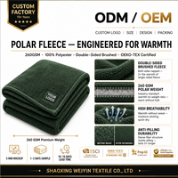 Couverture de voyage 2-en-1 en polaire avec logo personnalisé OEM, oreiller intégré, 260 GSM, portable, pliable, chaude et compacte pour avion