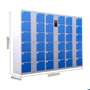 Smart Storage Modern Design 12 Door Smart Parcel Delivery Locker Customized Self Coding Locker Password Storage Cabinet