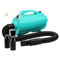 Sèche-cheveux professionnel pour animaux de compagnie EUR PET à double isolation, vitesse du vent 70 m/s, moteur sino-américain, pour chiens et chats