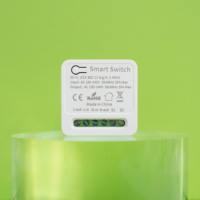 SIXWGH WiFi Module de commutateur mural intelligent Apple HomeKit Siri Alexa Commande vocale 10A Relais Compte à rebours Aucun concentrateur requis CE RoHS