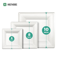 Plaque de pulpe de bagasse de canne à sucre biodégradable compostable plateau de service alimentaire jetable avec coffre-fort de fête de conception à clapet
