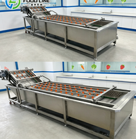 Bellenwasmachine met ozonfunctie voor fruit en groenten Bellenwasmachine
