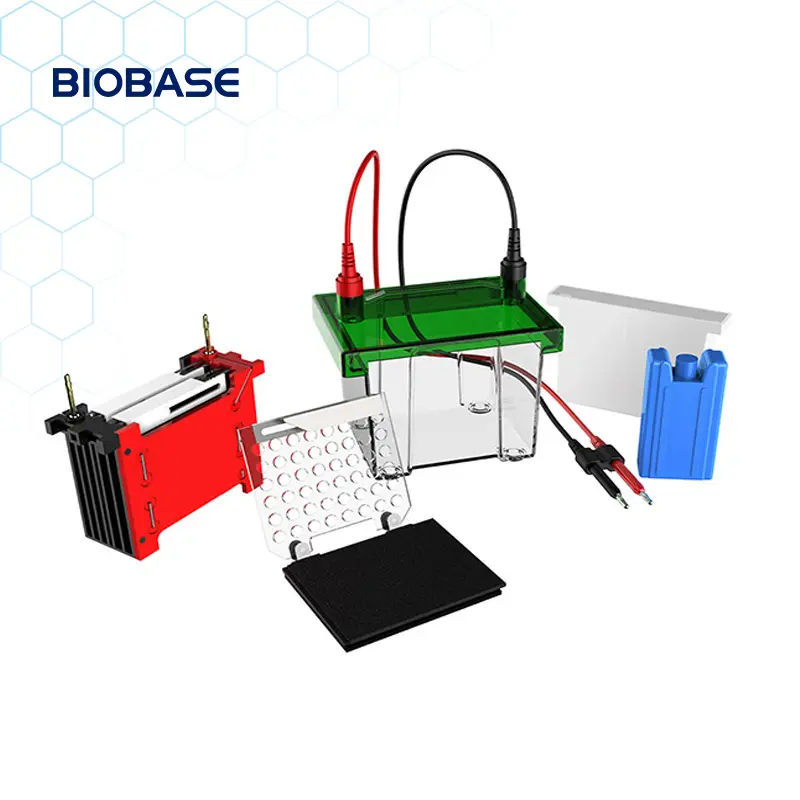 Biobase tanque de eletrophoresis, BK-TET01 de proteína gel e equipamentos de transferência ocidental