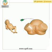 Modelo Avanzado de Entrenamiento en Obstetricia y Partería, Simulador Realista de Parto por Vacío para Entrenamiento de Trabajo de Parto Materno y Habilidades de Enfermería