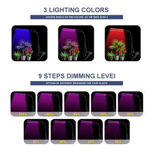 Lant-AMPLIFICADOR ndoor 110V, reenhouse - Product Image 5