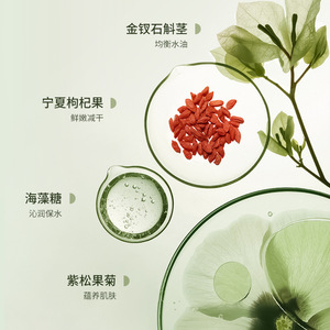 Limpiador facial con aminoácidos de té verde Beilingmei 300g Limpiador espumoso suave para control de grasa e hidratación - Product Image 2