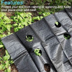 Plastic Mulch Ground Cover Woven Landscape Fabric - Product Image 4