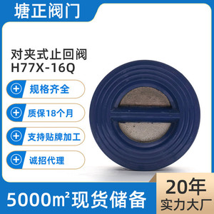 วาล์วกันกลับแบบปีกผีเสื้อเหล็กหล่อ Tang Zheng รุ่น H77X-16Q โครงสร้างแบบสองลิ้น สำหรับใช้กั้นน้ำ - Product Image 5