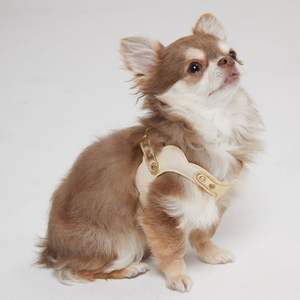 Arnés de cuero premium con cierres rápidos fáciles de poner y quitar, acolchado para perros, para cachorros energéticos y perros pequeños. - Product Image 3