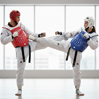 Sistema Electrónico PSS Profesional STARLORD para Taekwondo, para una Puntuación Precisa en Entrenamiento y Competición